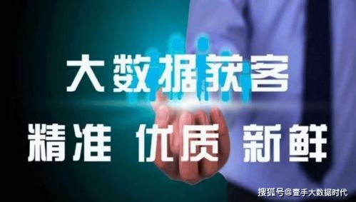 运营商精准大数据 行业标签如何实现精准获客的大数据服务